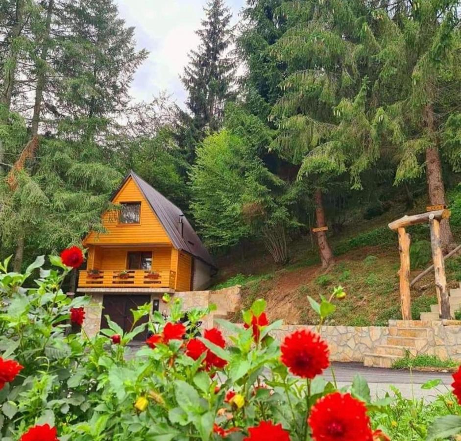 Etno Selo Bistrovo Apartment Витез Екстериор снимка